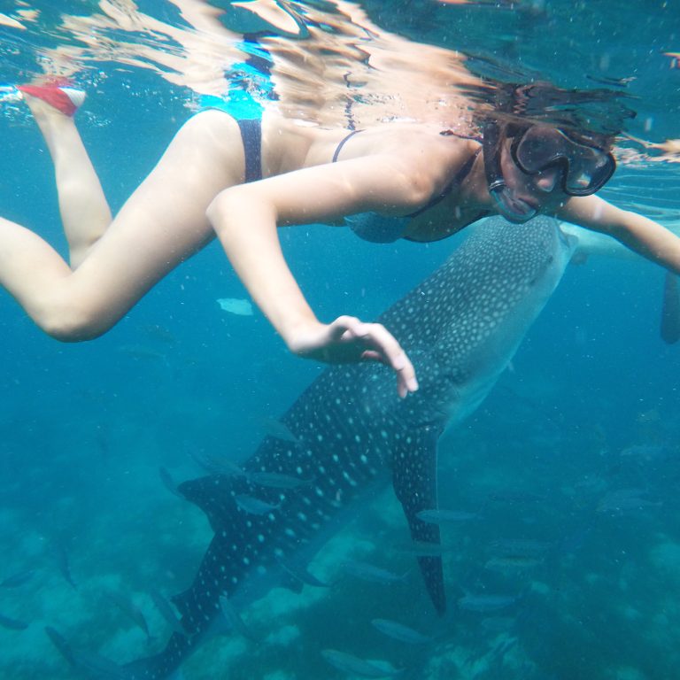 DCIM100GOPROGOPR1393.JPG